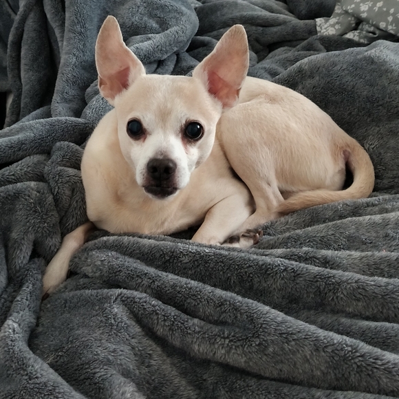 Meet your Posher, Betty - Picture 12 of 13